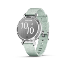 Garmin Lily 2 Classic 38 mm Silver / Sage Gray Nylon Band (010-02839-63)